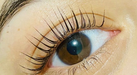 Velvet Estheticの画像：3