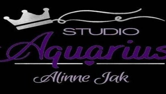 Studio Aquarius image 1