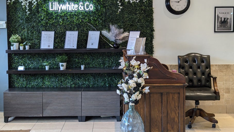 Bex at Lillywhite & Co., bilde 1
