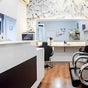 Angelica Studio