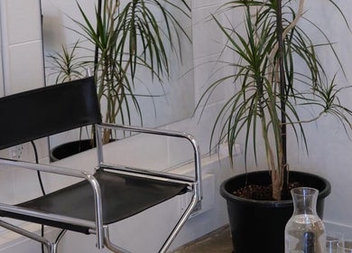Modern salon chair and lush plant at yourSPAce, Christchurch, Canterbury Region, NZ.