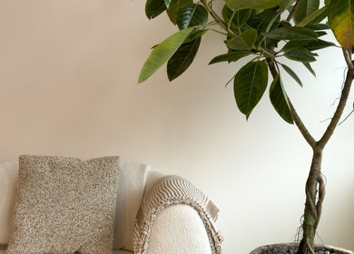 Inviting lounge area at The Usual Lash, Darien, Connecticut, US with plush sofa and vibrant green plant.