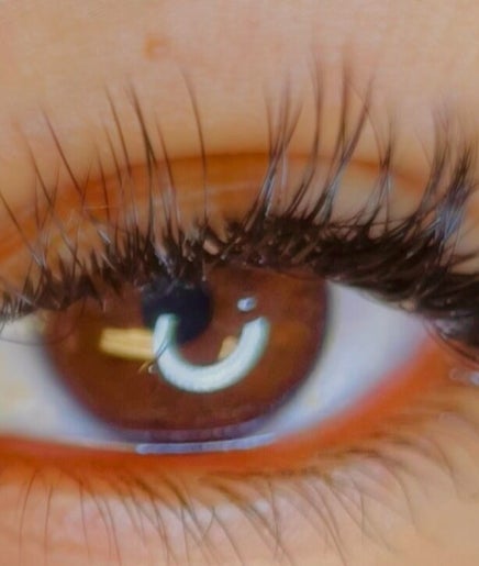 Lash Plug image 2