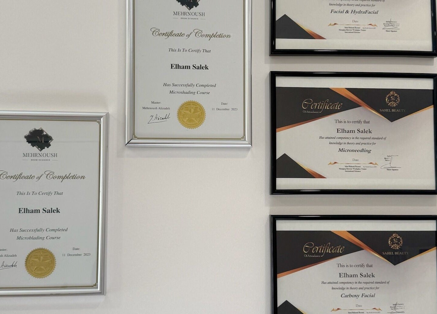 Certificates of Phibrows _elisa_australia at Emu Heights, New South Wales, AU, showcasing beauty and wellness expertise.