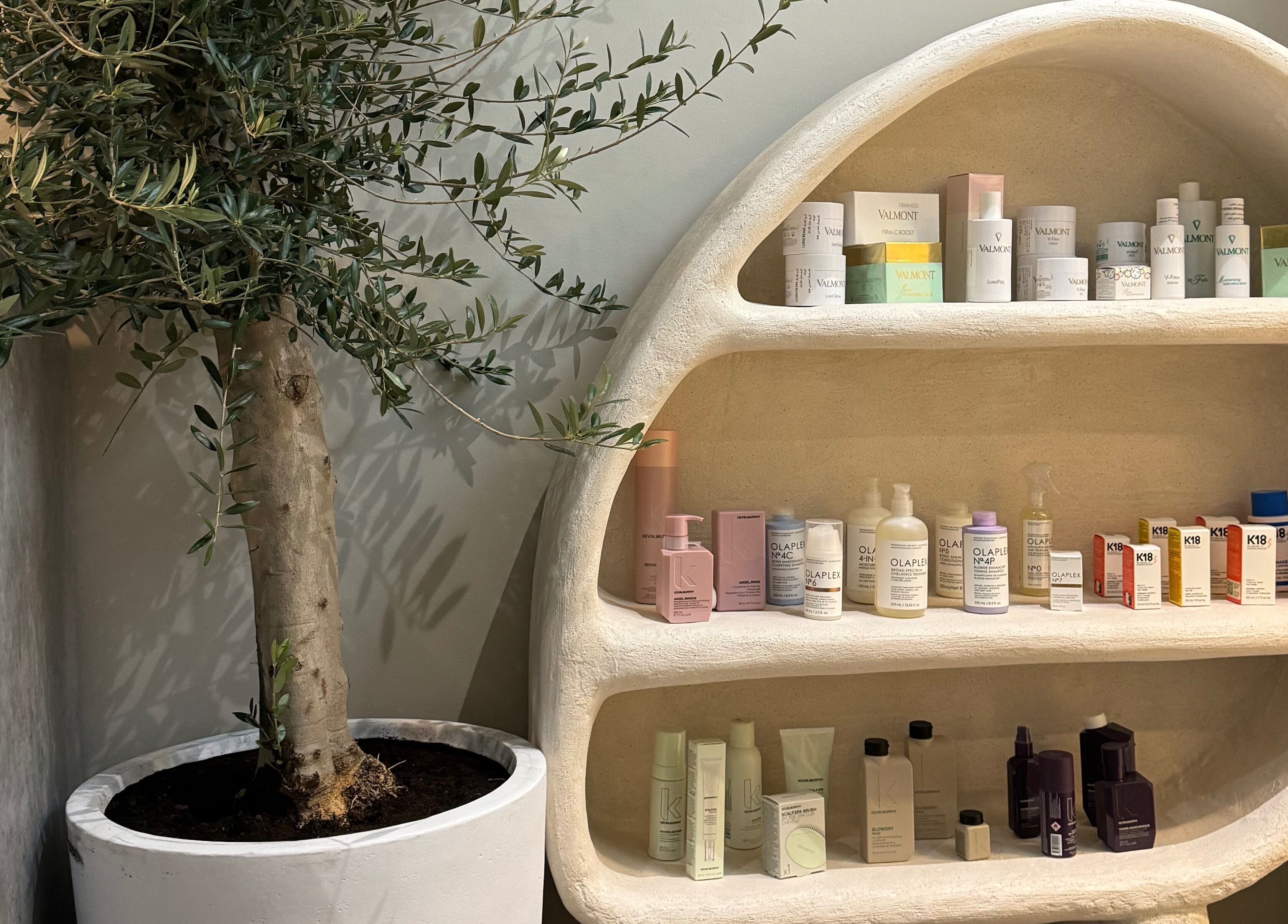 Elegant shelf with beauty products at Aceituna Beauty Salon L.L.C, Dubai, Dubai, AE, paired with lush olive tree.