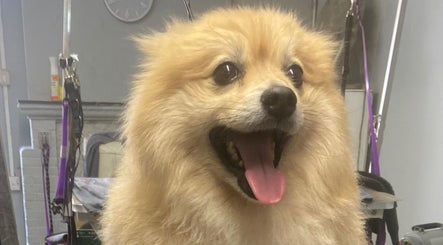 Pup Suey Dog Grooming