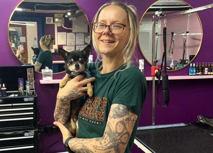 Happy groomer with a Chihuahua at Pup Suey Dog Grooming in Devizes, England, GB.