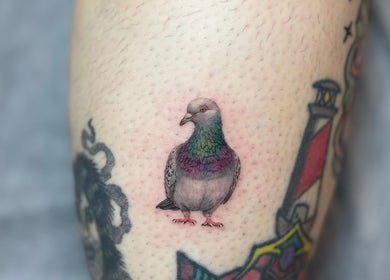 Intricate pigeon tattoo on arm at GazelleInk, Brisbane, Queensland, AU showcasing detailed ink work.