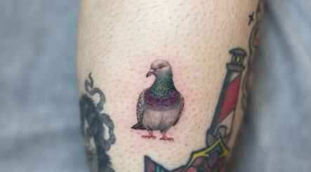Intricate pigeon tattoo on arm at GazelleInk, Brisbane, Queensland, AU showcasing detailed ink work.
