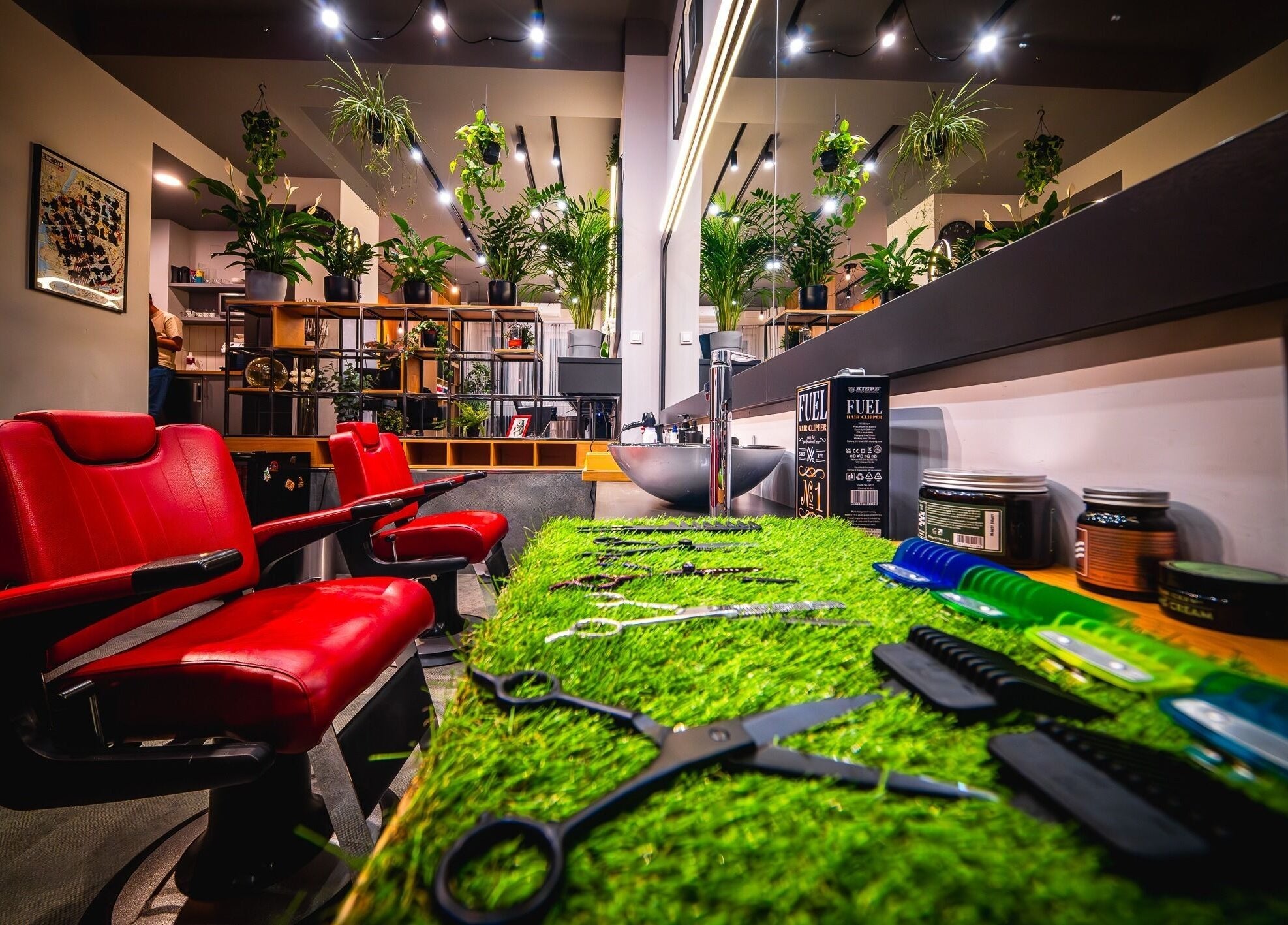 Modern borbély szalon SHAVE & CUT, Budapest, Magyar, HU, stílusos növényekkel és élénk piros székekkel.
