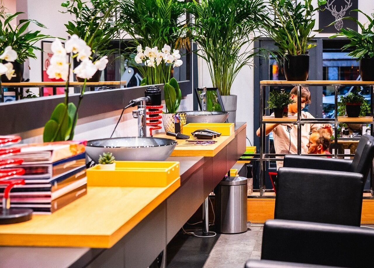 SHAVE & CUT belső tér Budapest, Magyar, HU címen, elegáns pultokkal, növényekkel.