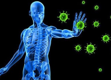 Digital body illustration with viruses, emphasizing immunity at Brian Spagnoletti, New York, New York, US.