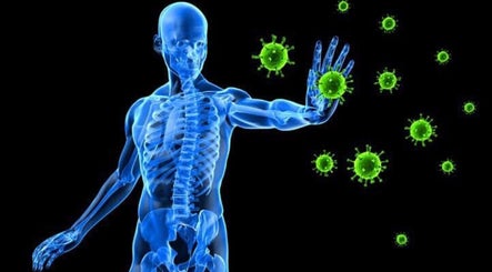 Digital body illustration with viruses, emphasizing immunity at Brian Spagnoletti, New York, New York, US.