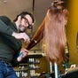 Matthew Morris/Peluka Salon