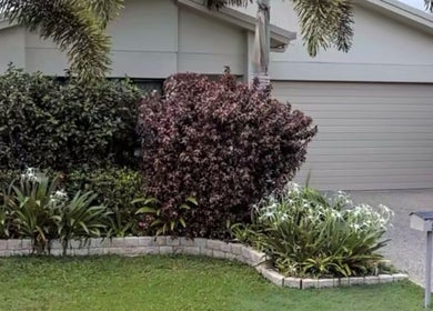 Peaceful exterior of Healthy Skin Lab at Trinity Beach, Queensland, AU, with lush greenery and modern design.
