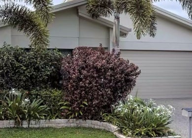 Front view of Healthy Skin Lab at Trinity Beach, Queensland, AU, showcasing lush greenery and a modern facade.