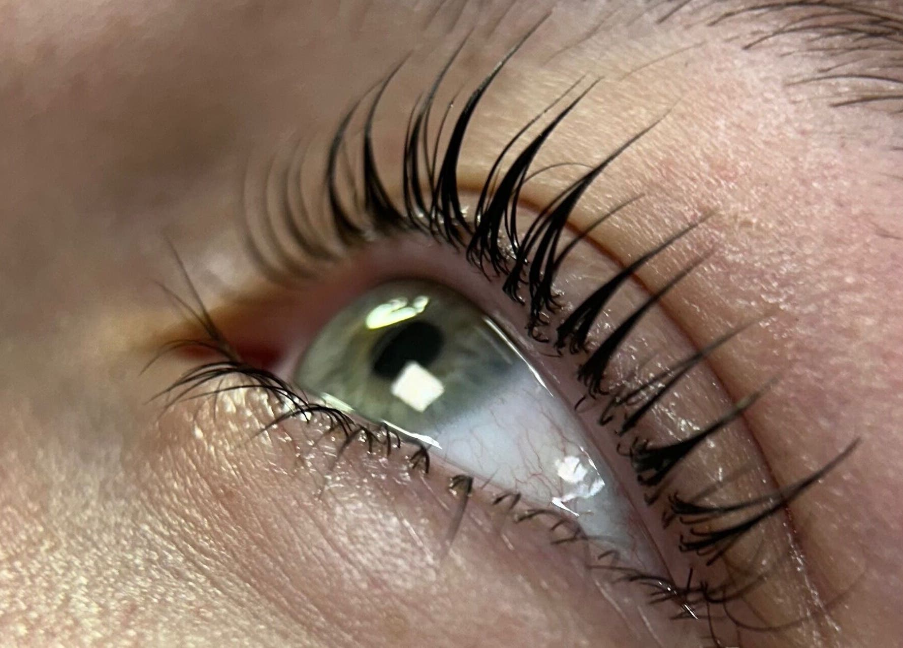 Close-up of a perfectly enhanced eyelash at Perfect Beauty - Lisboa, Lisboa, PT.