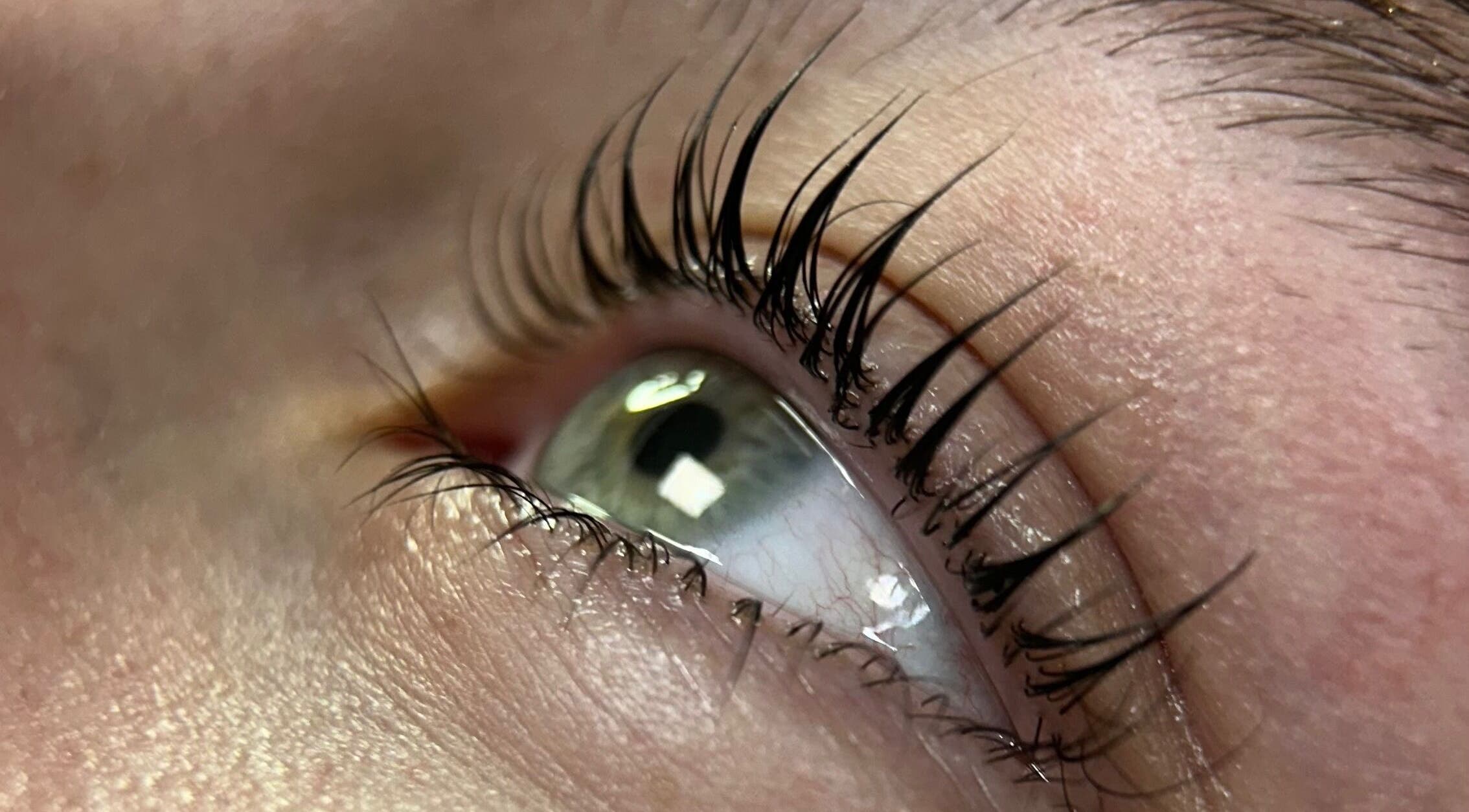 Close-up of a perfectly enhanced eyelash at Perfect Beauty - Lisboa, Lisboa, PT.