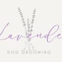 Lavender Dog Grooming