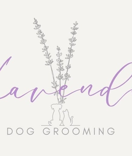 Lavender Dog Grooming obrázek 2