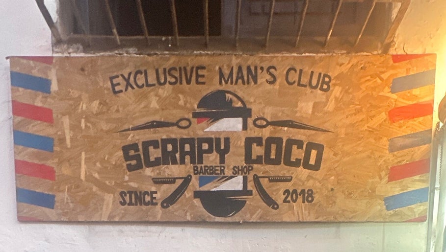 Scrapy coco image 1