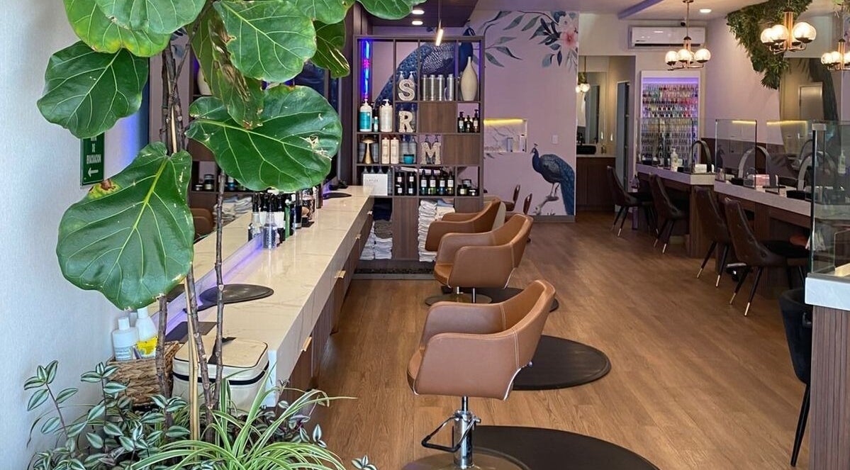 Interior elegante de Elan86 en Tijuana, Baja California, MX, con sillas modernas y exuberante vegetación.