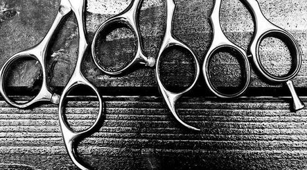 Scissors & Shears Salon LLC  image 2