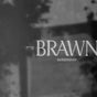 Brawn Barbershop