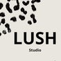 Lush Studio - Rua Bernardo Lopes, Figueira Da Foz, Coimbra