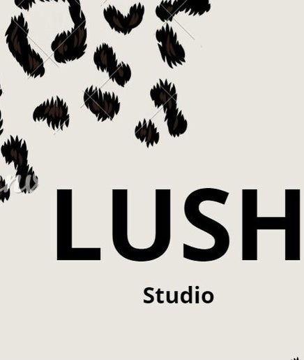 Lush Studio image 2