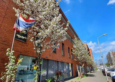 Hatthapon Thaise Therapeutische Massage en Wellness vooraanzicht in Delft, Zuid-Holland, NL met bloeiende bomen.
