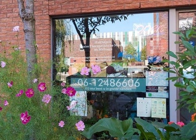 Buitenkant van Hatthapon Thaise Therapeutische Massage en Wellness in Delft, Zuid-holland met kleurrijke bloemen.
