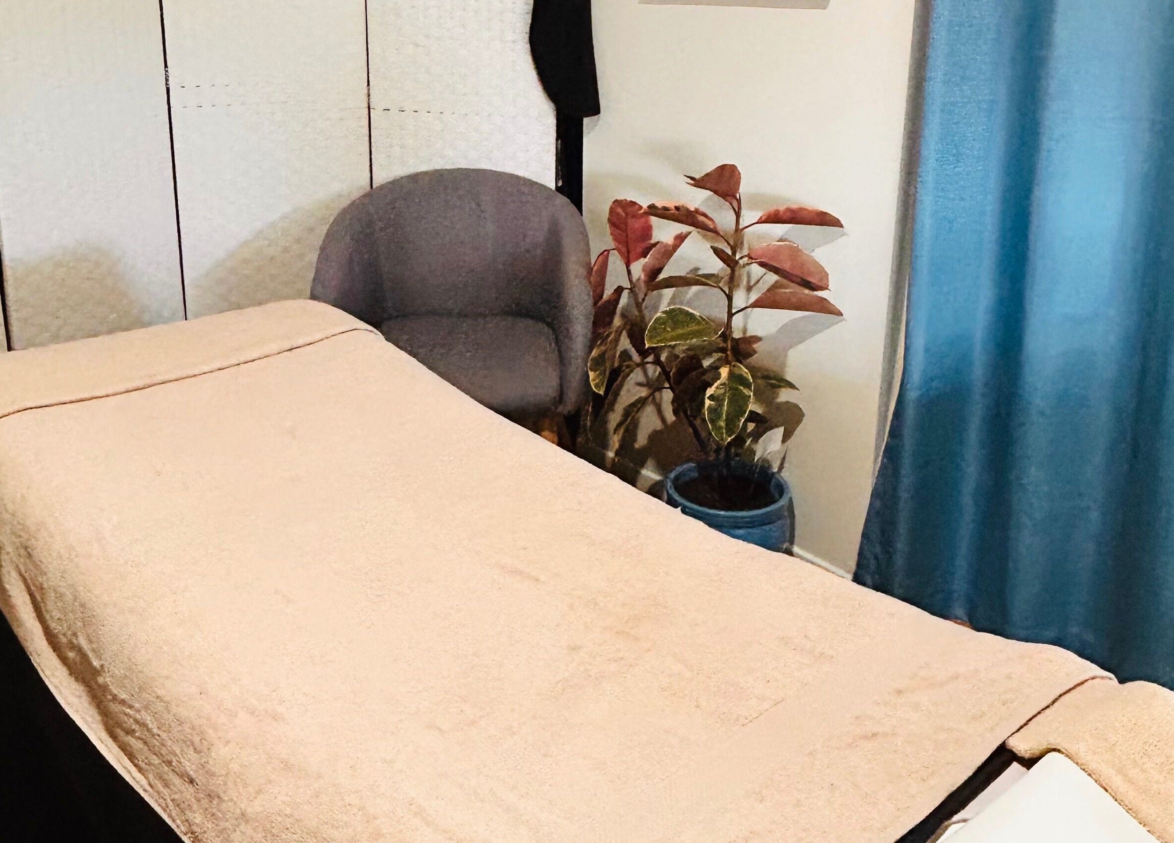 Relaxing massage room at Wild Soul Connection in Hillcrest, Queensland, AU, featuring cozy decor and plant accents.