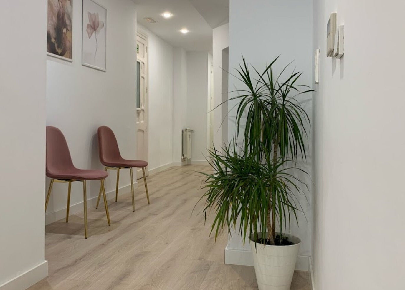 Interior acogedor de Clínica Alicia Camacho en Madrid, Comunidad De Madrid, ES, con sillas y planta decorativa.
