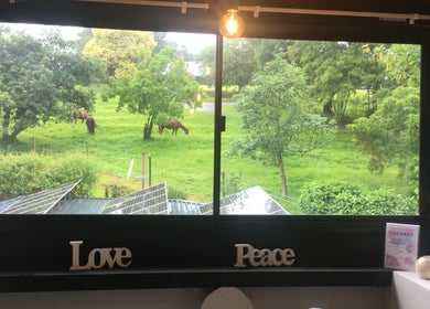 Peaceful countryside view from Aruka Studio Aesthetics & Wellness in Outer West Durban, Kwazulu-natal, ZA.
