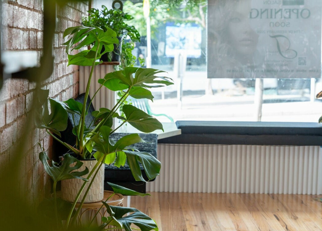 Relaxing lounge area with plants at Tulip Beauty Lash and Brow, Melbourne, Victoria, AU, providing a serene ambience.