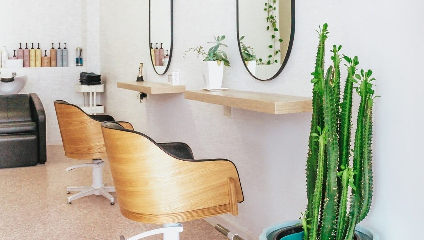 Stylish interior of Stellar Salon with wooden chairs and plants in Coolangatta, Queensland, AU.