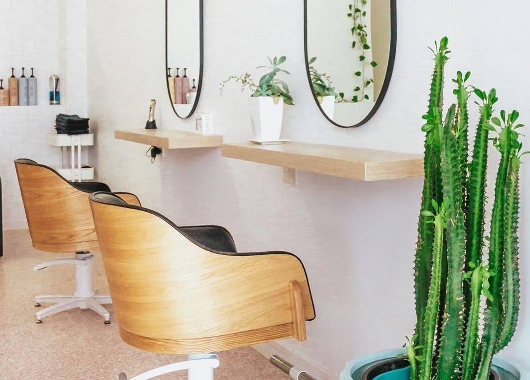 Stylish interior of Stellar Salon with wooden chairs and plants in Coolangatta, Queensland, AU.