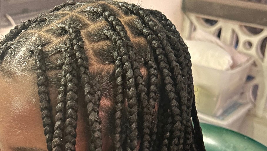 The Hair Fairy – kuva 1