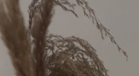 Natural dried plants decor at JLP Studio, Morpeth, England, GB enhancing a serene ambiance.