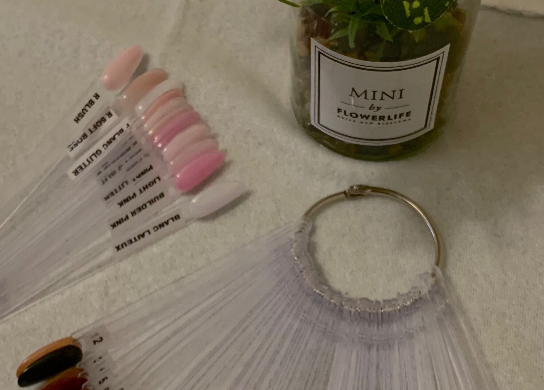 Palette de couleurs d'ongles à Melslli Beauty Salon, Pia, Occitanie, FR, avec plantes décoratives.