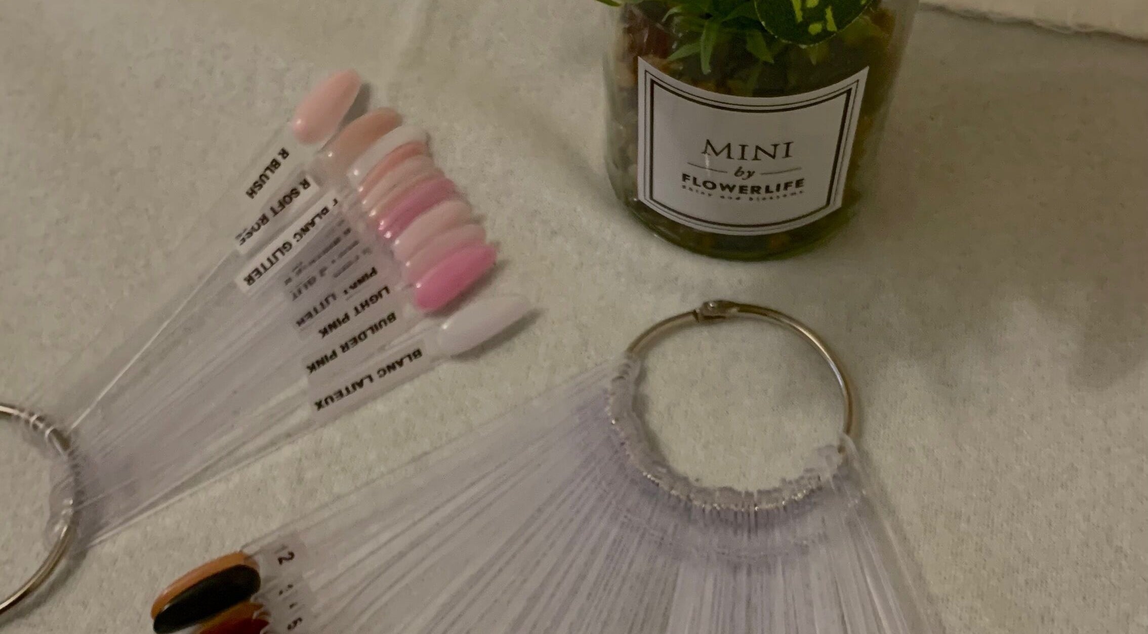 Palette de couleurs d'ongles à Melslli Beauty Salon, Pia, Occitanie, FR, avec plantes décoratives.