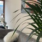 Body Stimulants Beauty and Massage Centre
