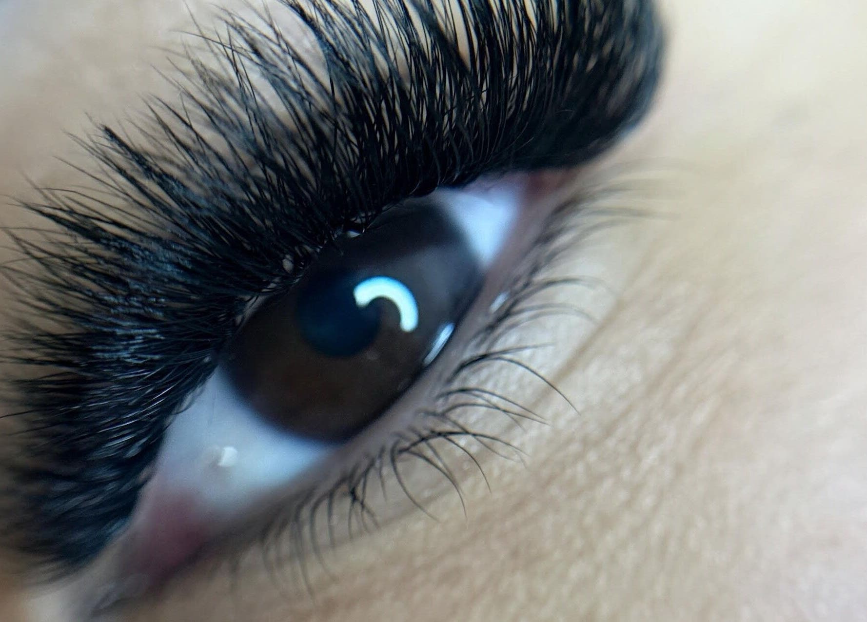 Close-up of lush eyelash extension from Jolee Beauty Co - Greenacre, Greenacre, New South Wales, AU.