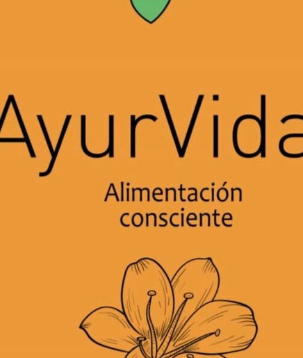 AyurVida image 2