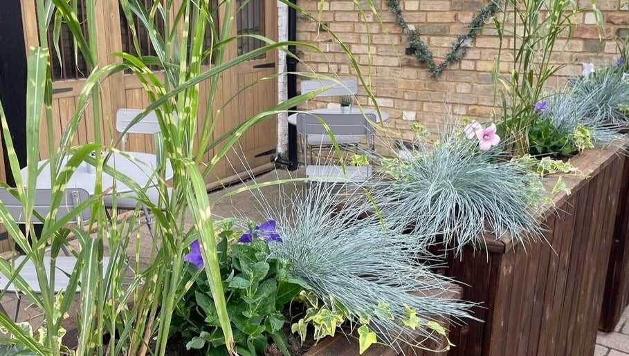 Charming garden seating at Skin by Anna, Biggleswade, England, GB with lush plants and a cozy atmosphere.