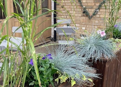 Charming garden seating at Skin by Anna, Biggleswade, England, GB with lush plants and a cozy atmosphere.