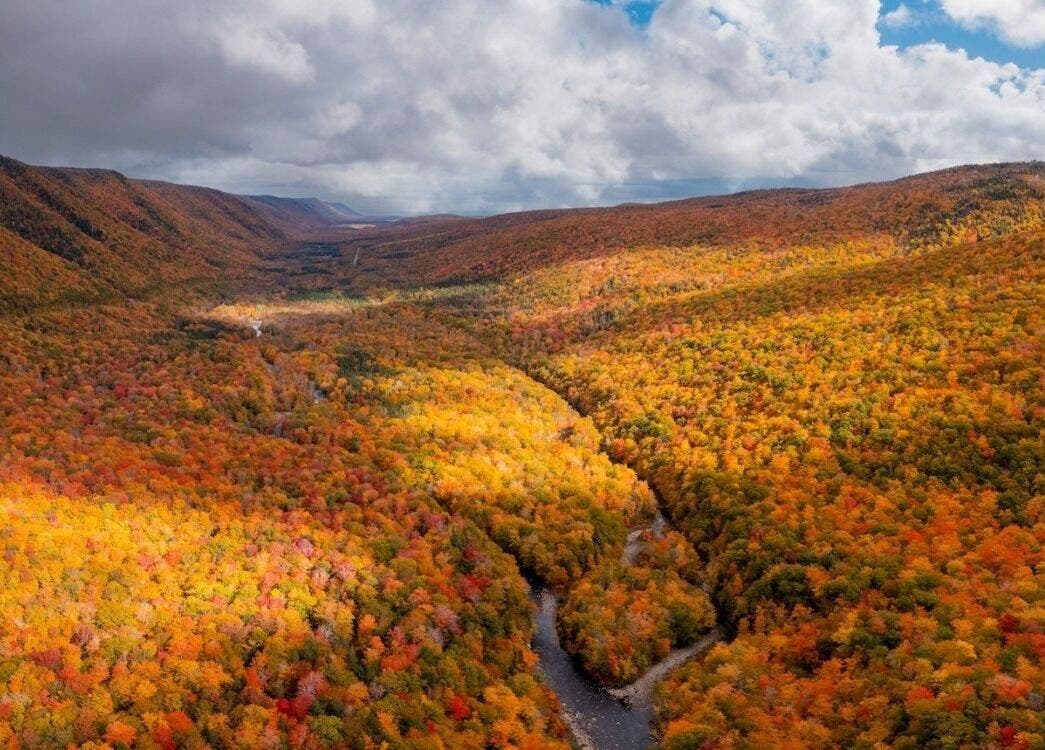 Scenic aerial view of a vibrant autumn forest with a winding river, near Szluka Cecília frissítőmasszőr, Budapest, Magyar, HU.