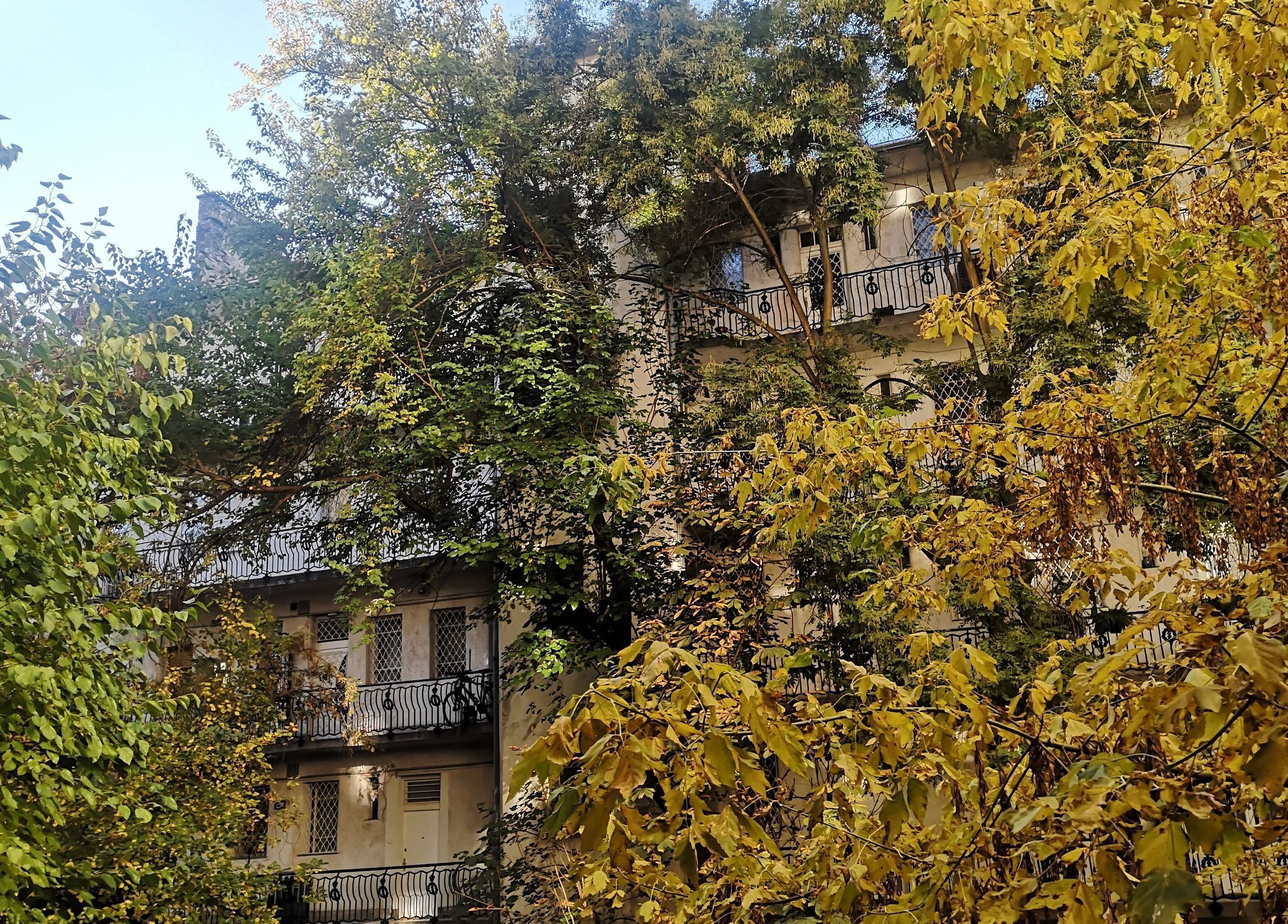 Exterior view of Szluka Cecília frissítőmasszőr in Budapest, Magyar, HU, framed by vibrant autumn trees.