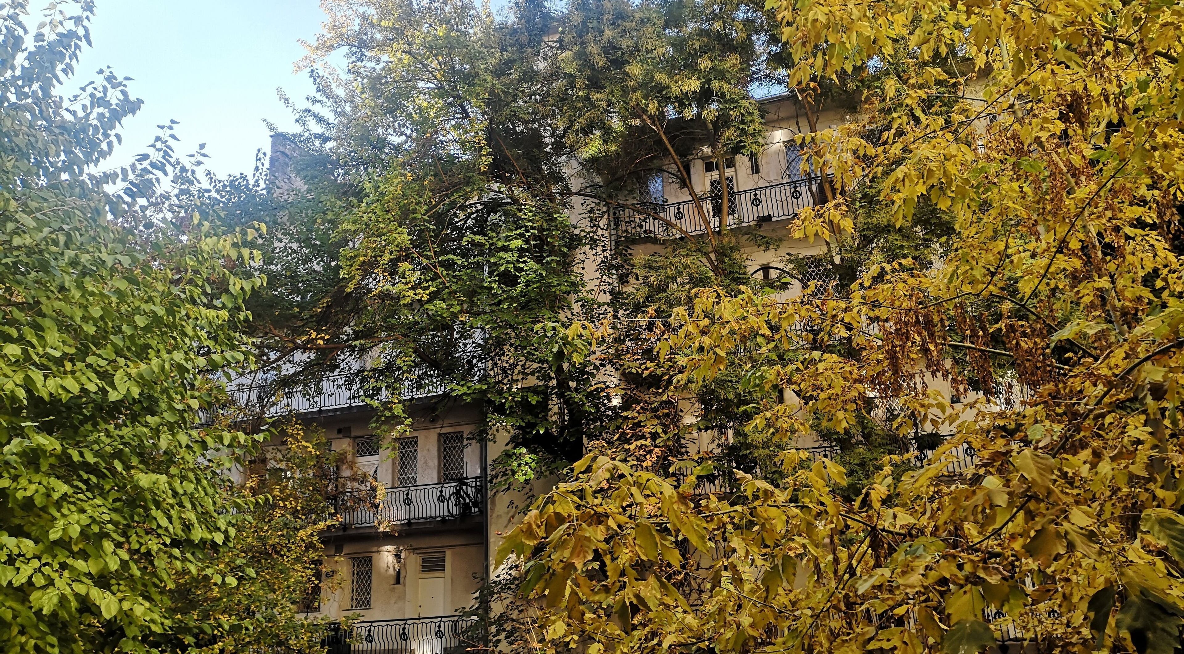 Exterior view of Szluka Cecília frissítőmasszőr in Budapest, Magyar, HU, framed by vibrant autumn trees.